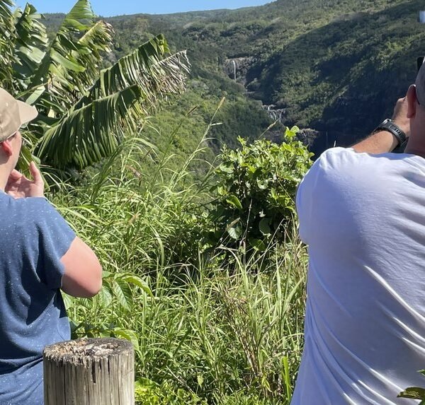 Chamarel Mauritius tour