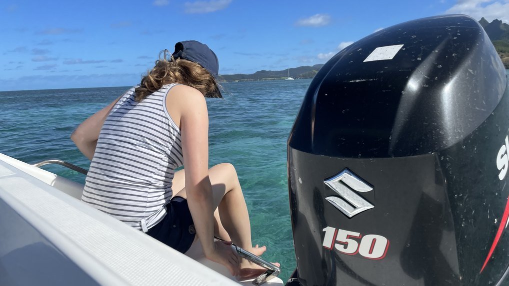 Ile aux Cerfs catamaran cruise