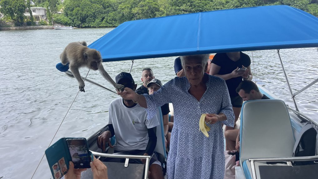 Ile aux Cerfs catamaran cruise