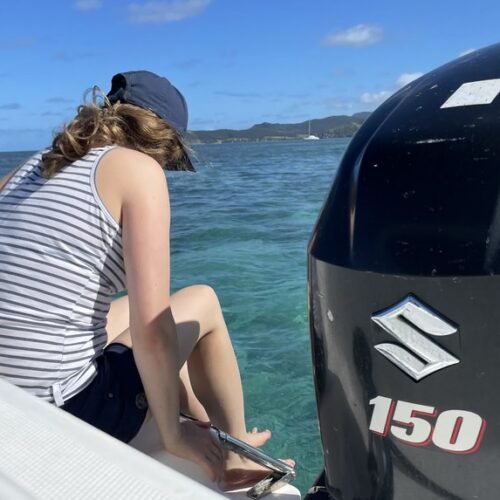 Ile aux Cerfs day trip