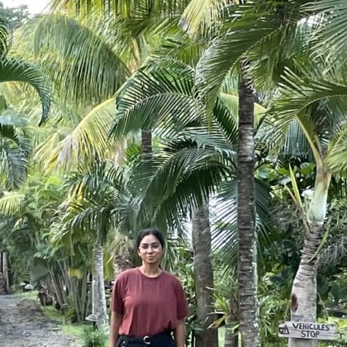 Ile aux Cerfs day trip