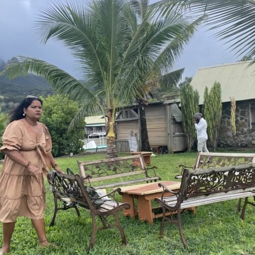 Ile aux Cerfs day trip