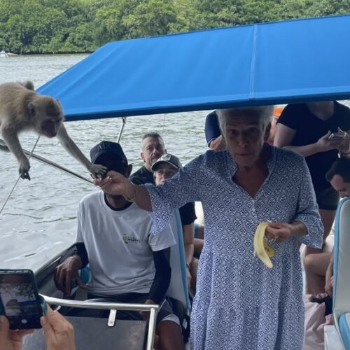 Ile aux Cerfs day trip