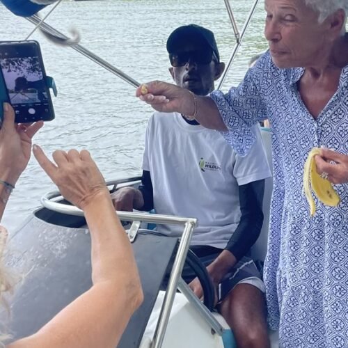 Ile aux Cerfs day trip