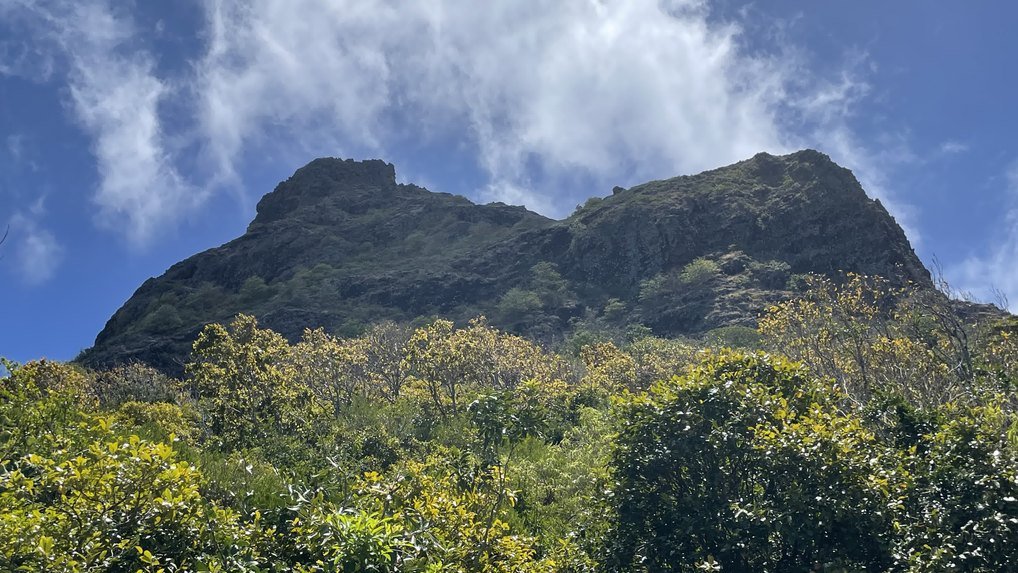 Le Morne guided hike