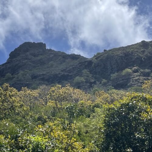 Le Morne Mauritius tour