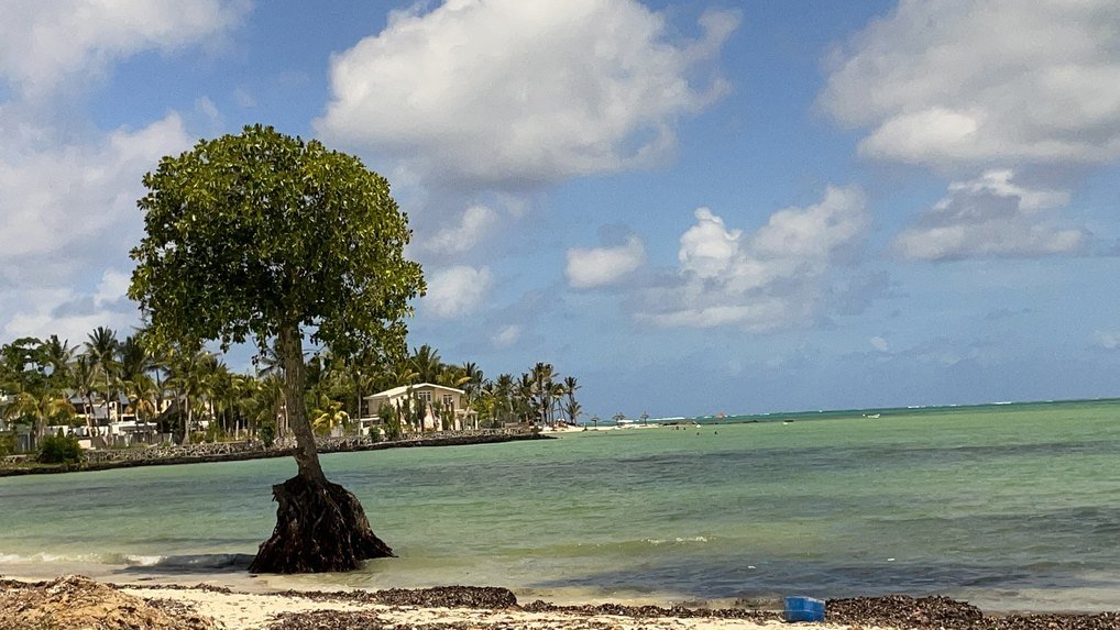 Mauritius shopping tour