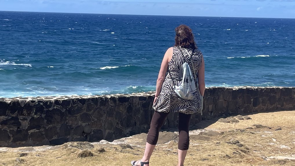 Mauritius Tea Route tour