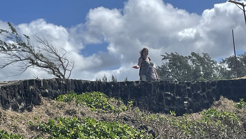 Mauritius Tea Route tour