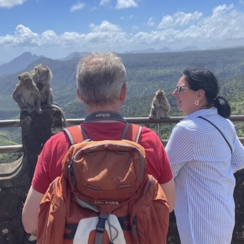 Mauritius waterfalls tour