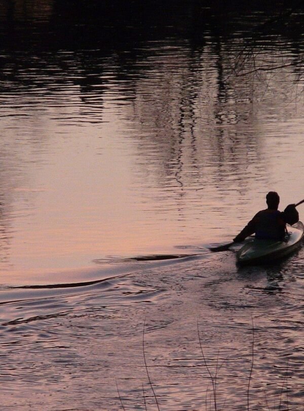 Tamarin kayaking activity with Seewan Tours