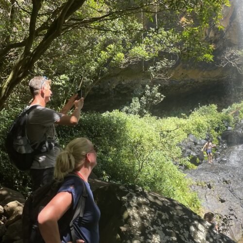 South Island Mauritius tour