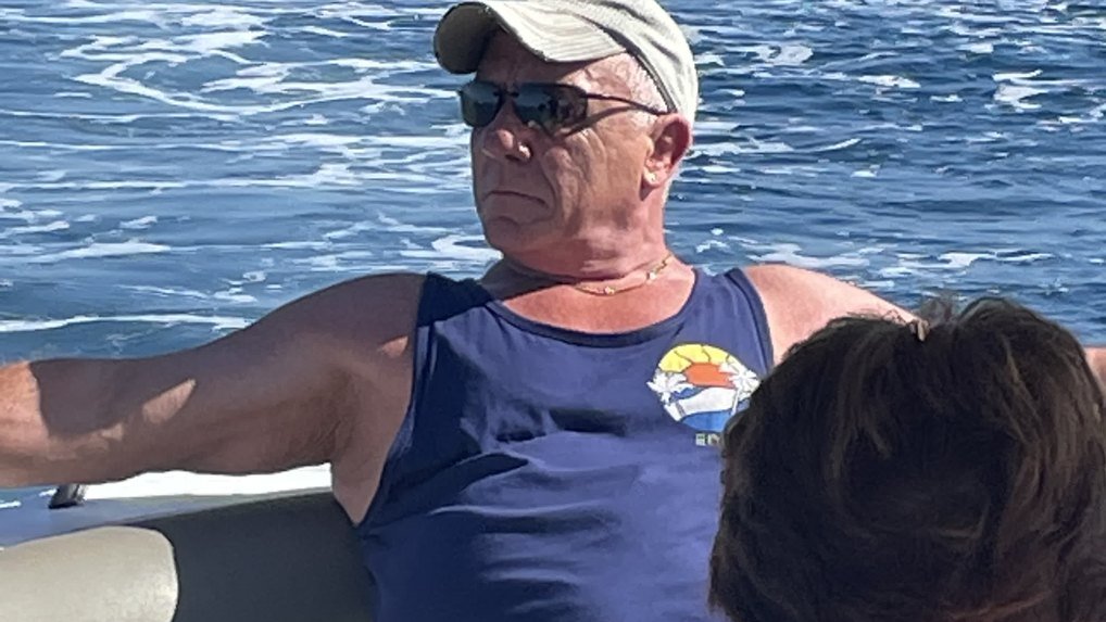 Tamarin dolphin watching