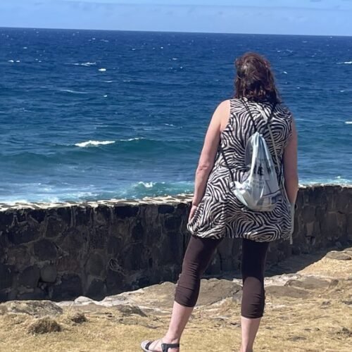 Wild South Mauritius tour