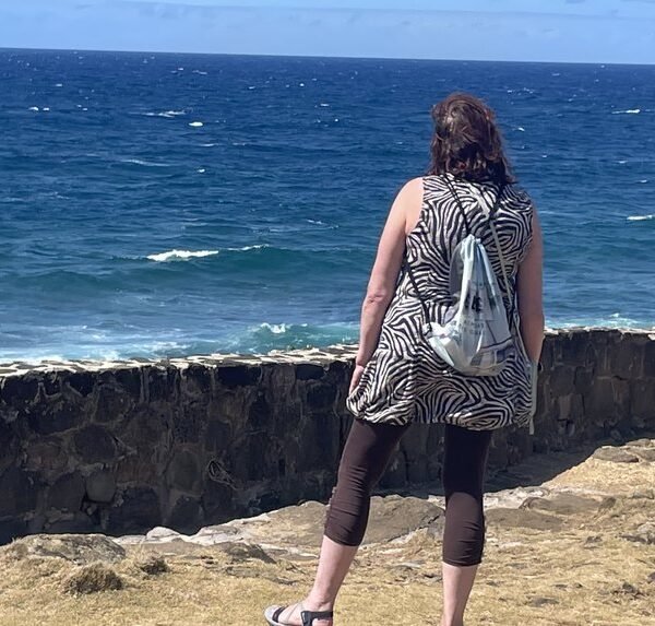 Wild South Mauritius tour