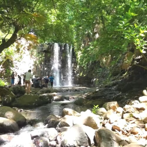 Wild South Mauritius tour with Seewan Tours