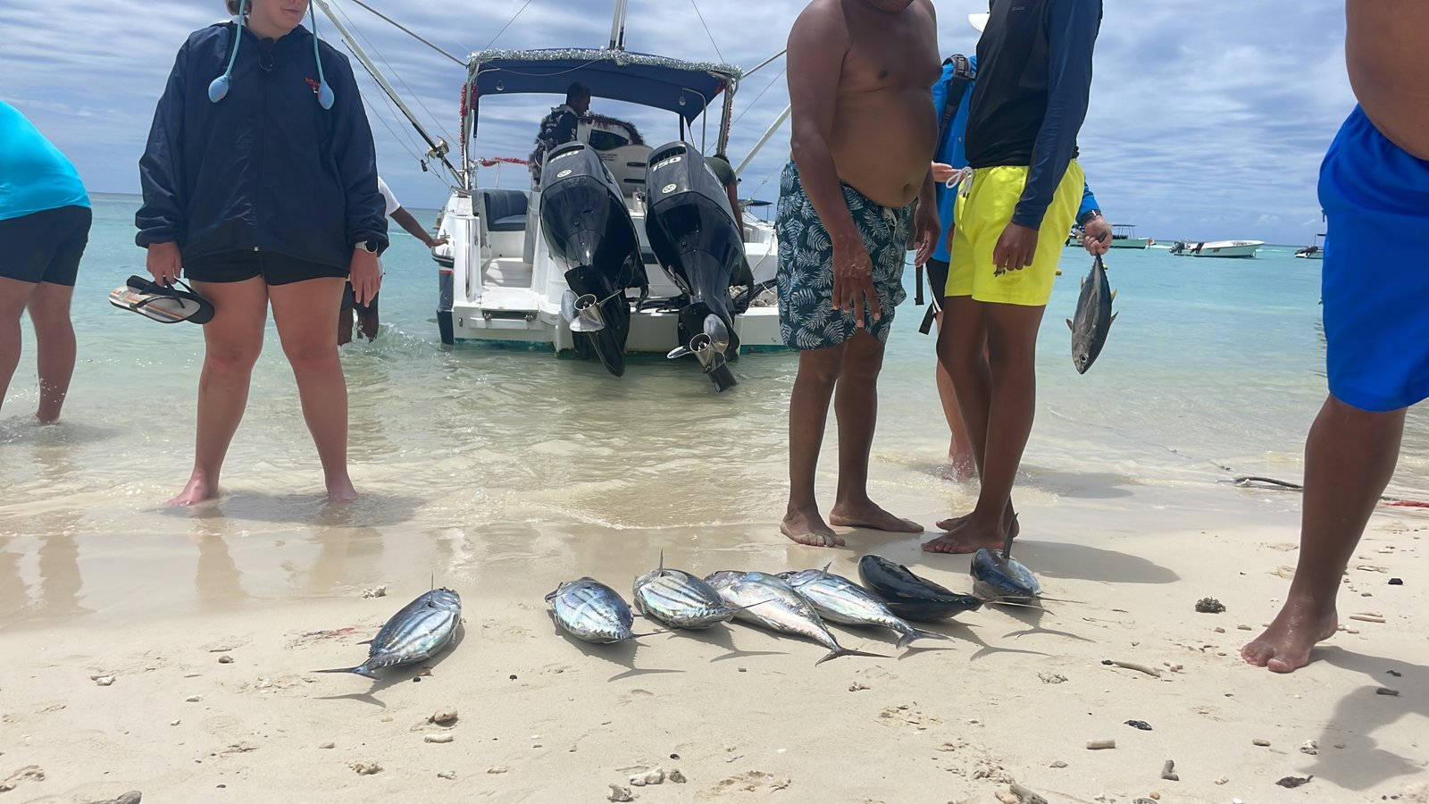 fish-catch-on-sandy-beach-01