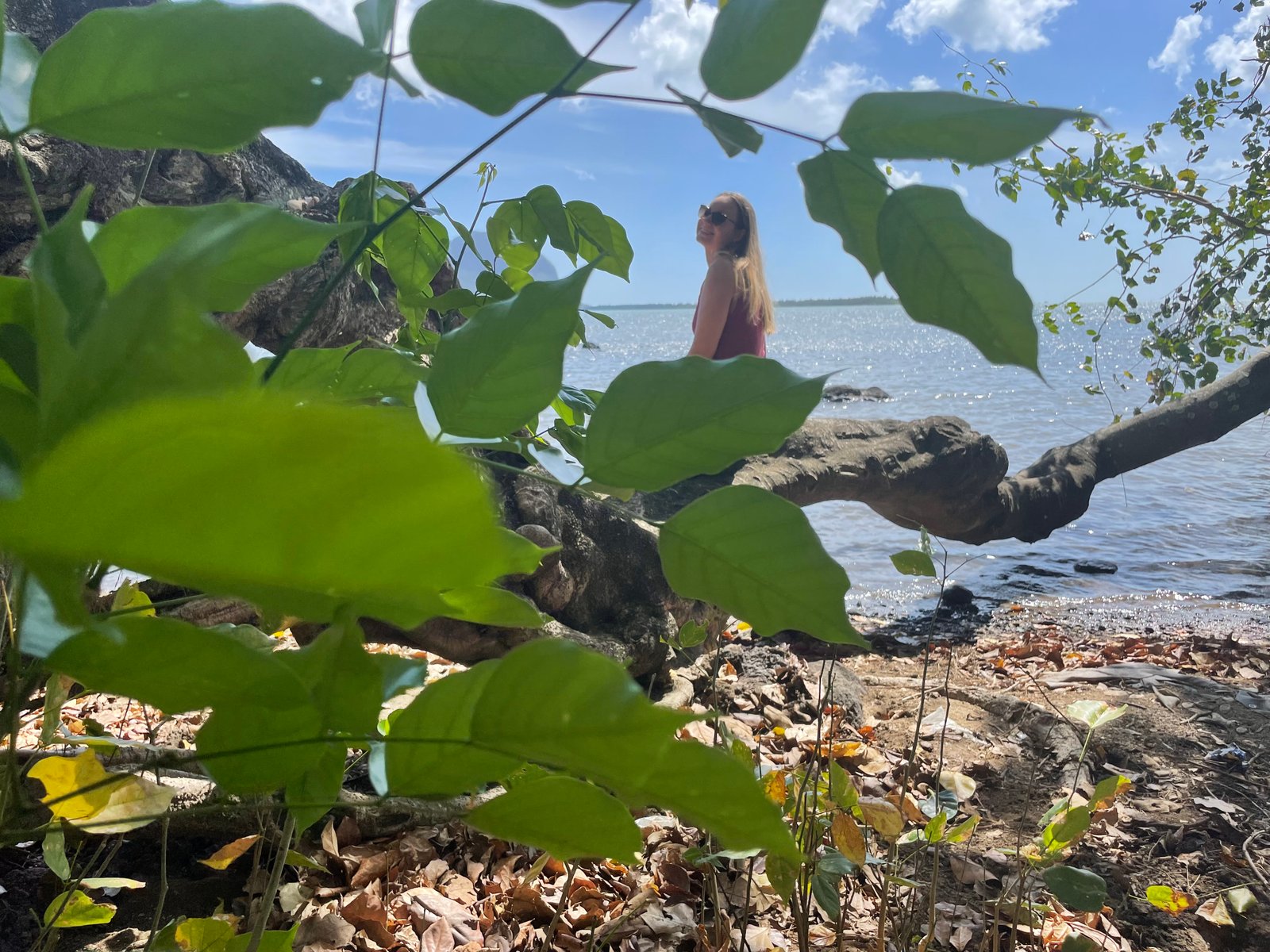 person-on-rocky-shore-01