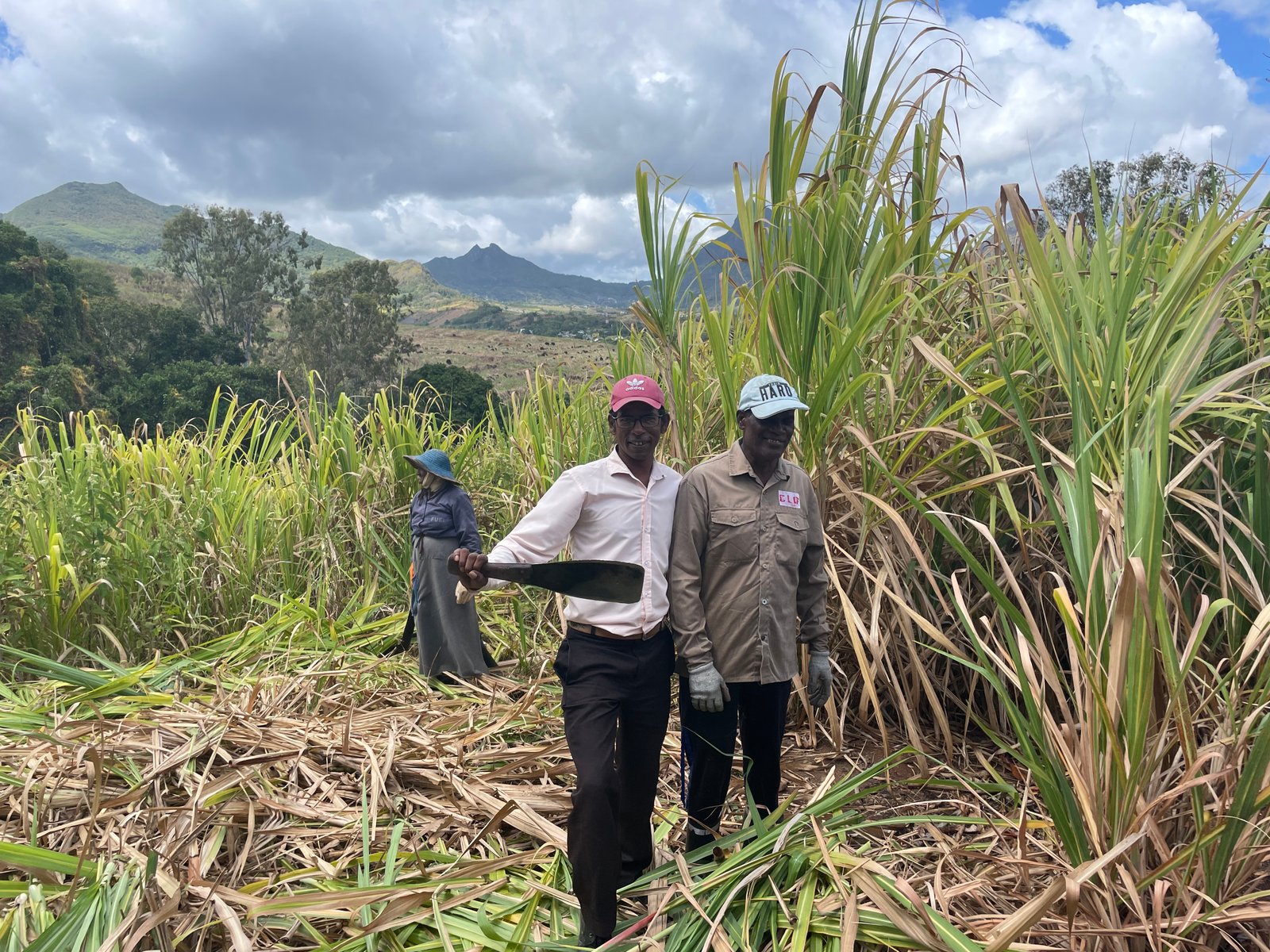 two-people-in-sugarcane-field-01