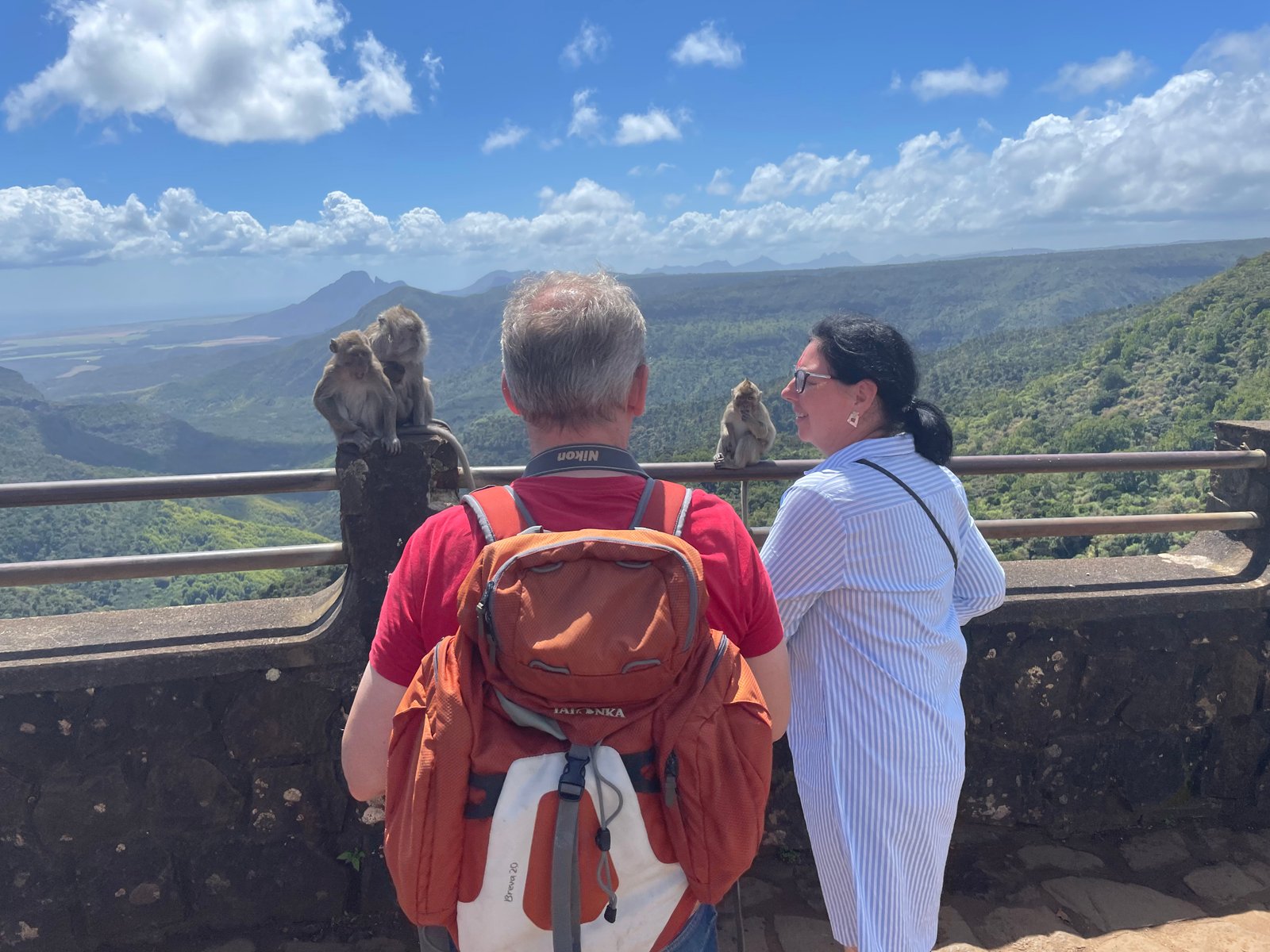 visitors-at-mountain-viewpoint-01
