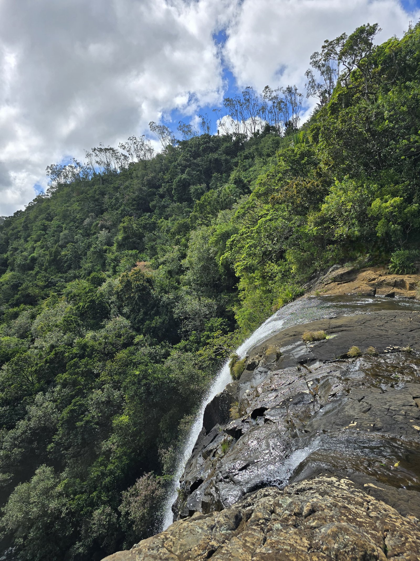 waterfall-on-forested-rock-slope-01